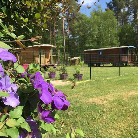 Roulottes Du Chalet Des Pins Rougeou Zewnętrze zdjęcie