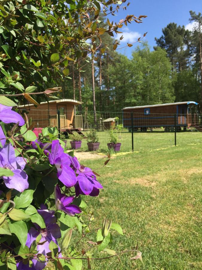 Roulottes Du Chalet Des Pins Rougeou Zewnętrze zdjęcie