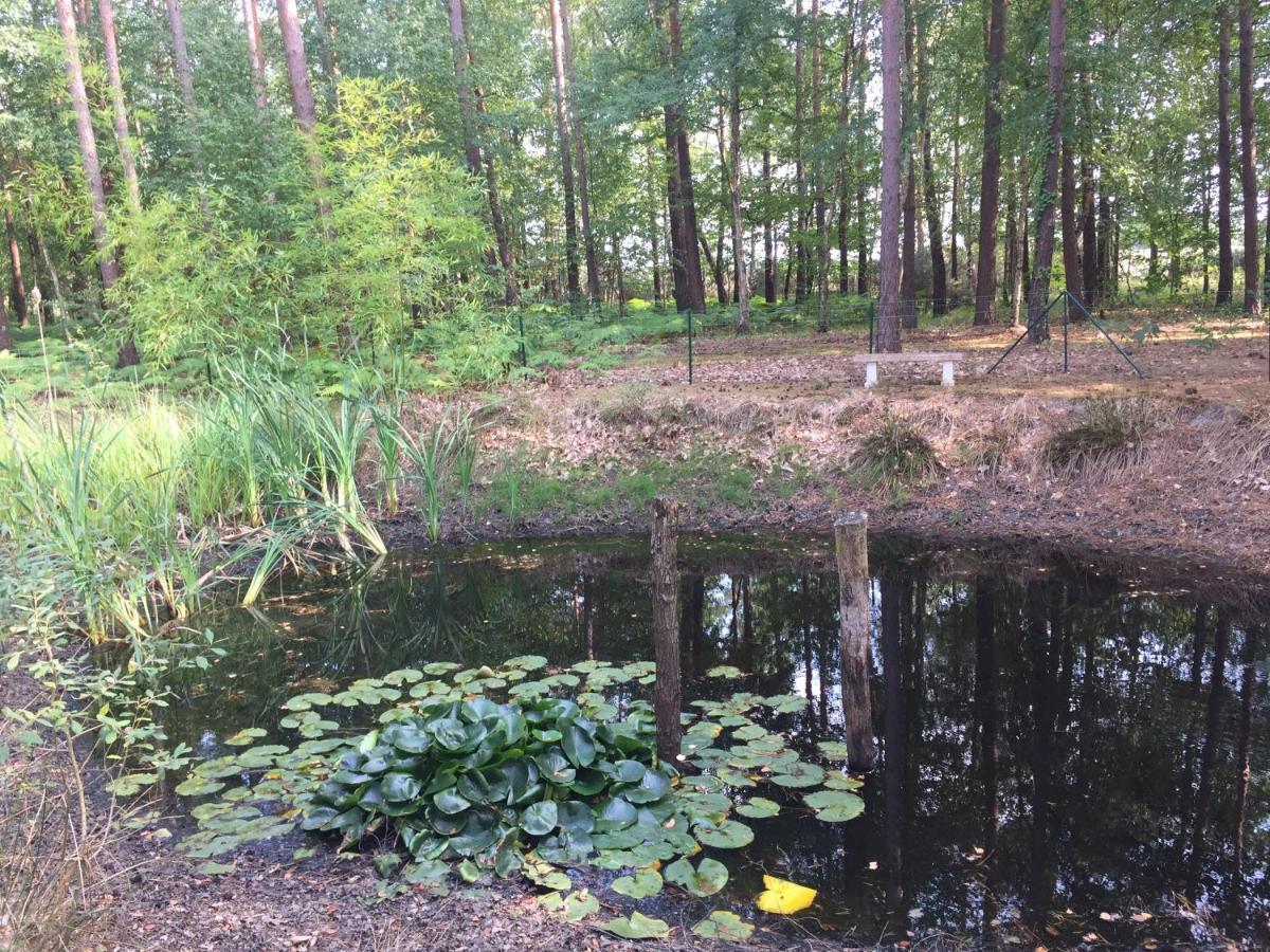 Roulottes Du Chalet Des Pins Rougeou Zewnętrze zdjęcie