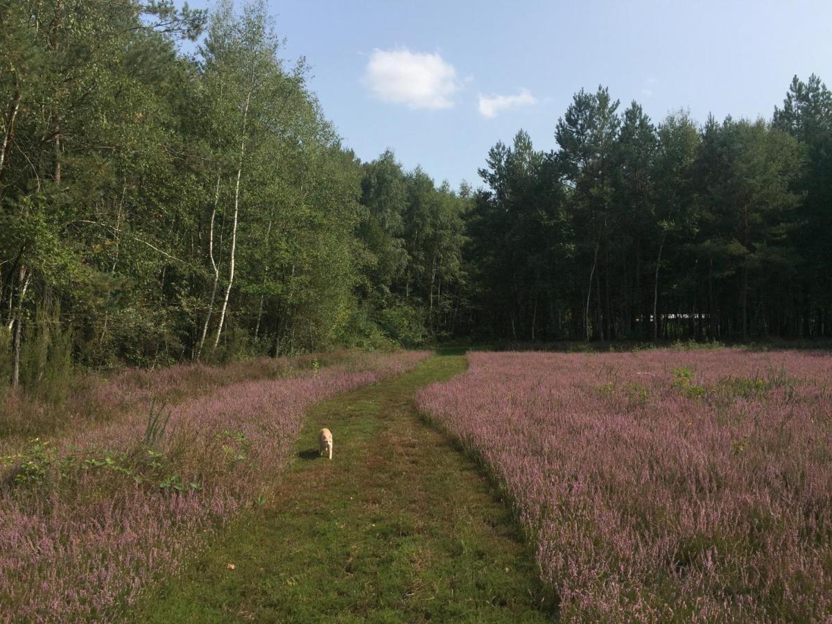 Roulottes Du Chalet Des Pins Rougeou Zewnętrze zdjęcie