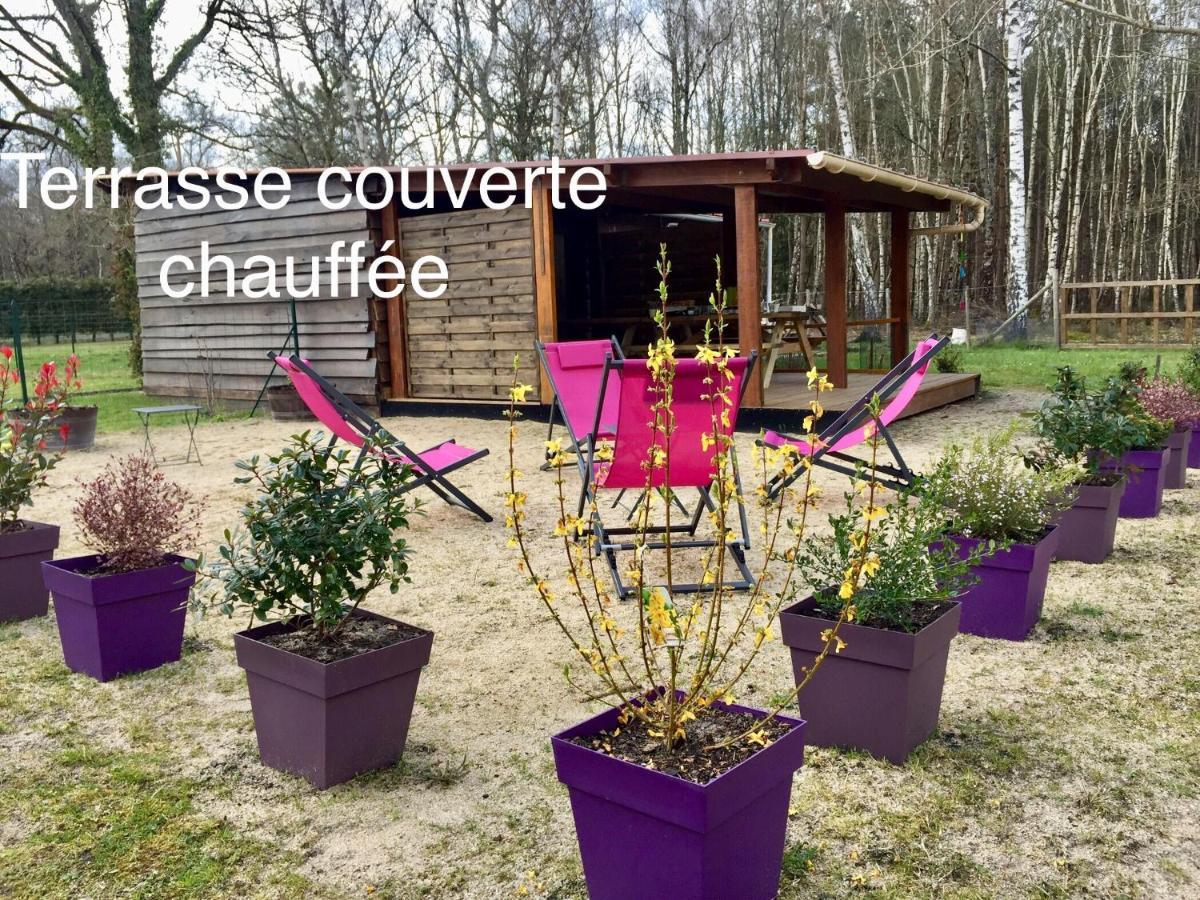 Roulottes Du Chalet Des Pins Rougeou Zewnętrze zdjęcie