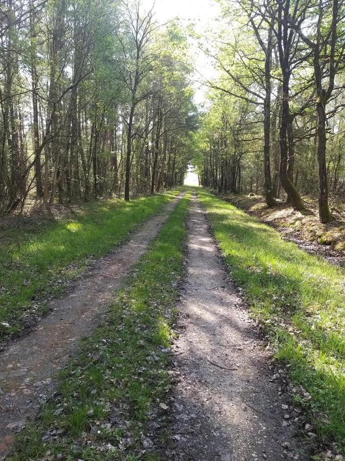 Roulottes Du Chalet Des Pins Rougeou Zewnętrze zdjęcie