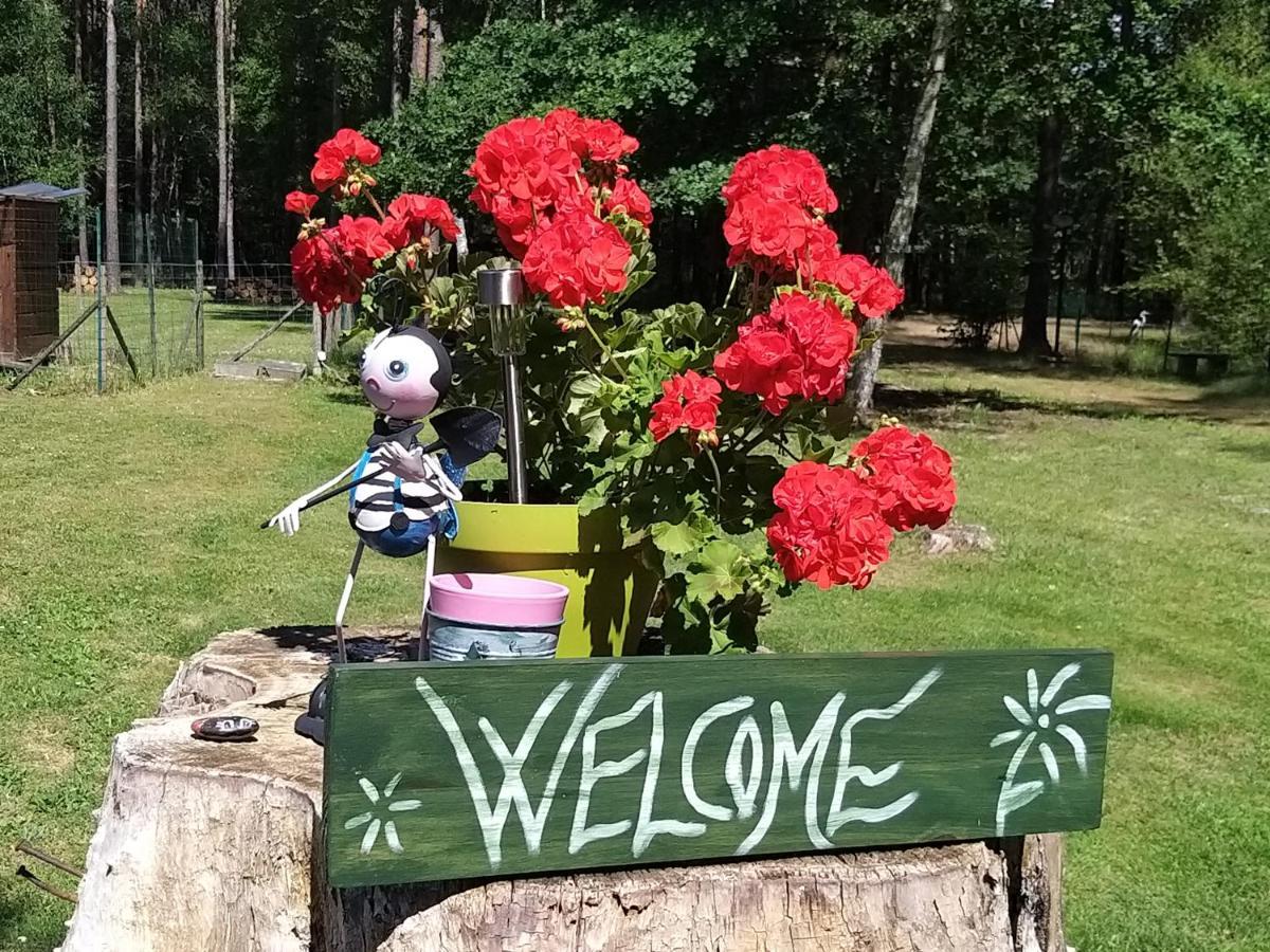 Roulottes Du Chalet Des Pins Rougeou Zewnętrze zdjęcie